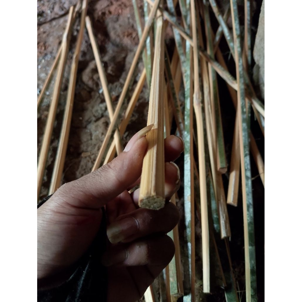 Stik Bambu Petung 70cm 8mm Bahan Arrow / Anak Pan*h Premium