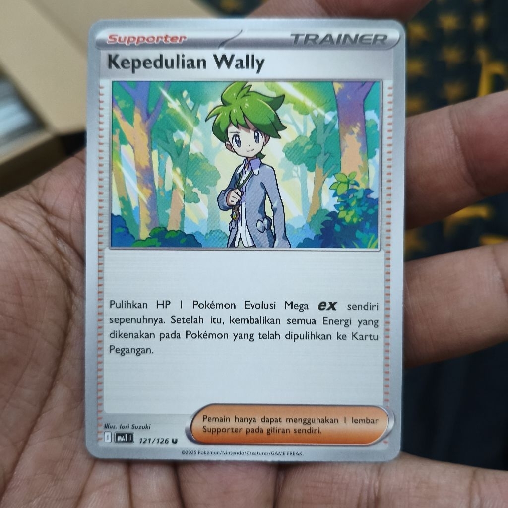 kepedulian wally tcg pokemon / kartu pokemon
