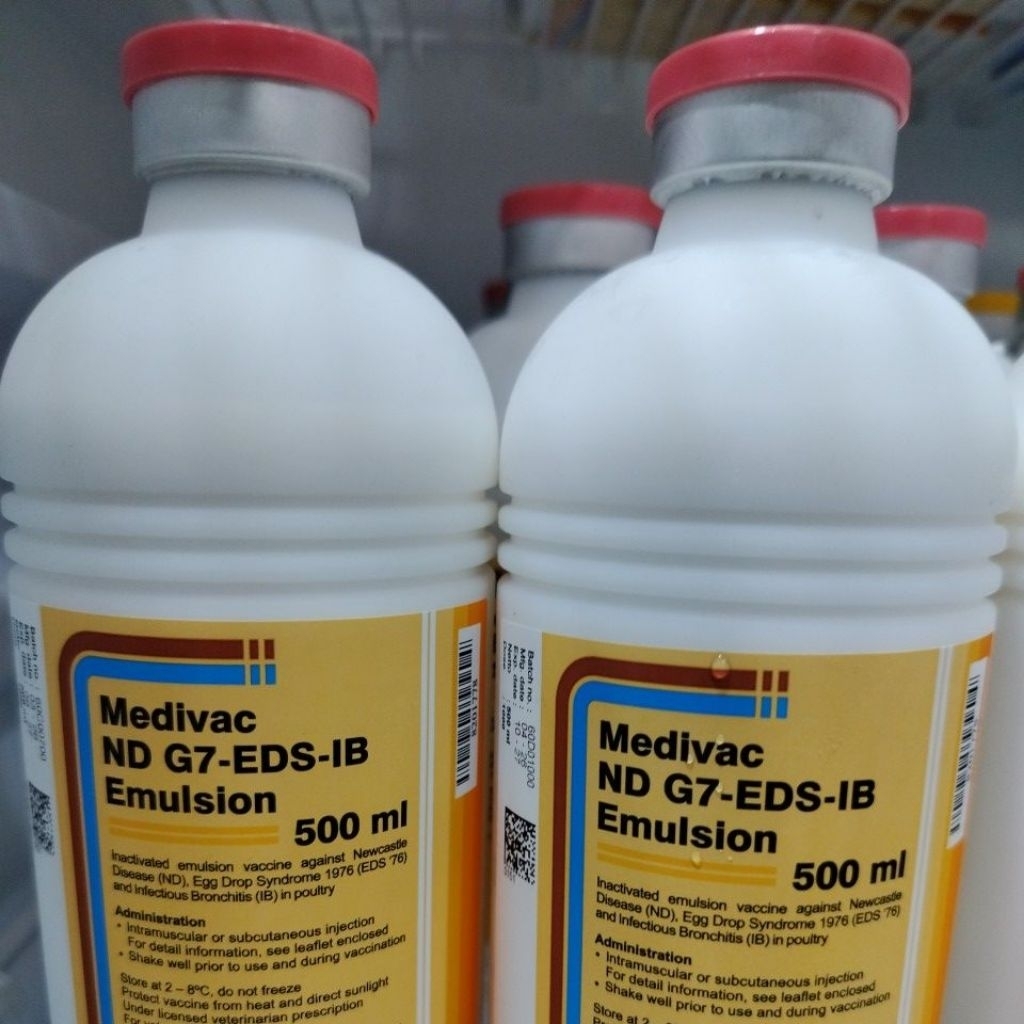 Promo Medivac ND G7-EDS-IB Emulsion 50 & 25 ML Vaksin Ayam Perlindungan Terbaik Cegah ND EDS dan IB