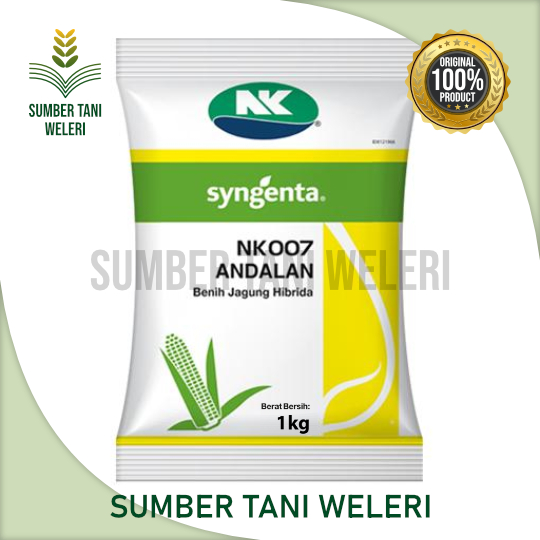 BENIH JAGUNG NK 007 ANDALAN - BENIH JAGUNG HIBRIDA - 1 KG - SYNGENTA