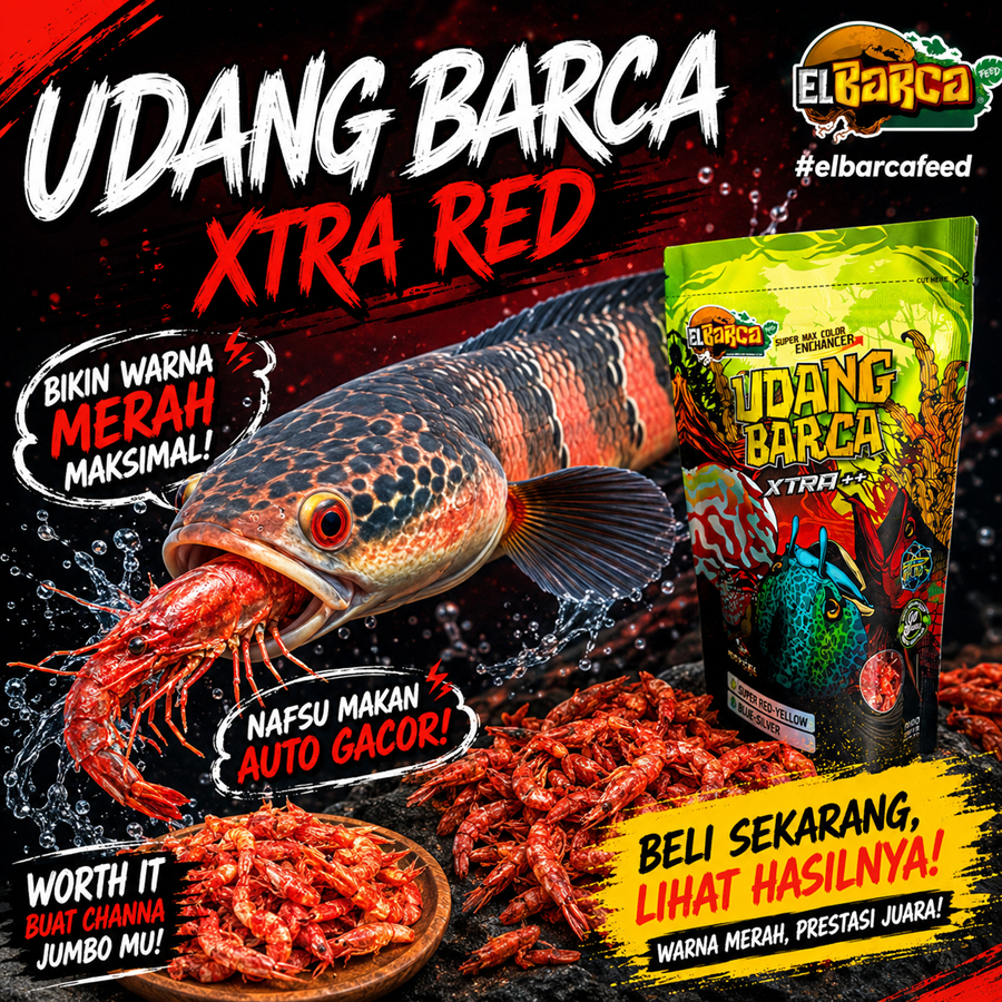 UDANG XTRA SUPER RED YELLOW Pertajam warna merah kuning ikan channa arwana predator jumbo 20 cm up