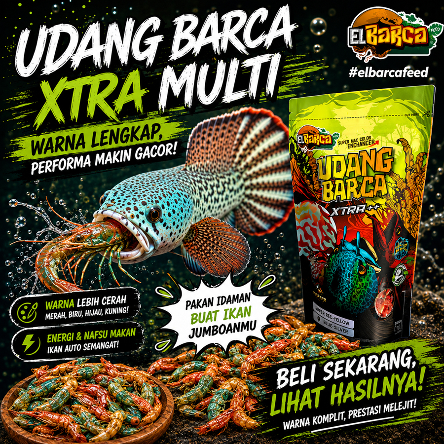 UDANG BARCA XTRA MULTI COLOR Pertajam lebih dari 2 basic warna ikan channa arwana jumbo 20 cm up