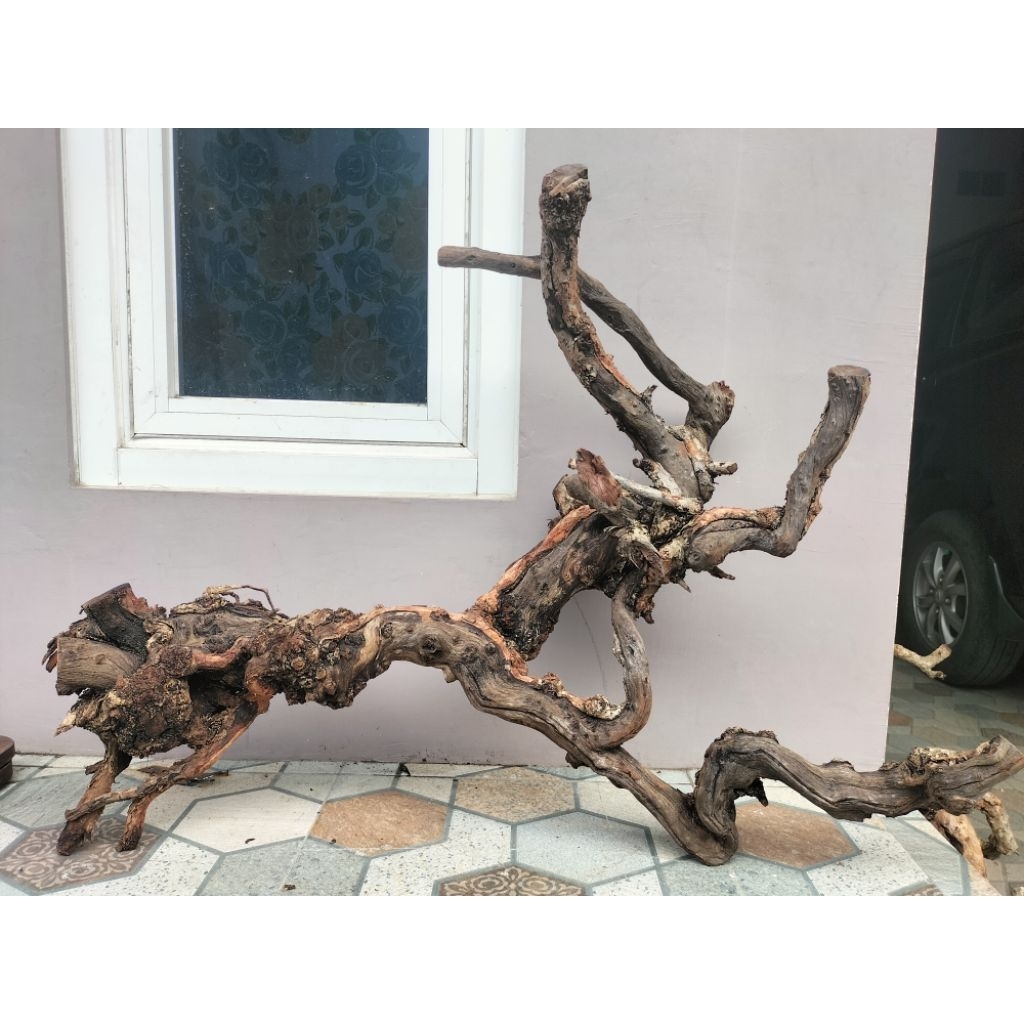 kayu santigi karang 90x60 cm. untuk aquascape, aviari, tangkringan burung / reptil. dll.