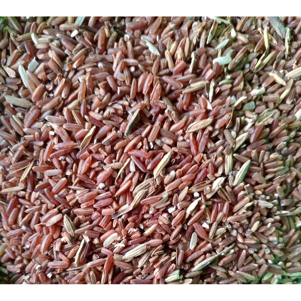 beras merah 1 karung pakan ayam