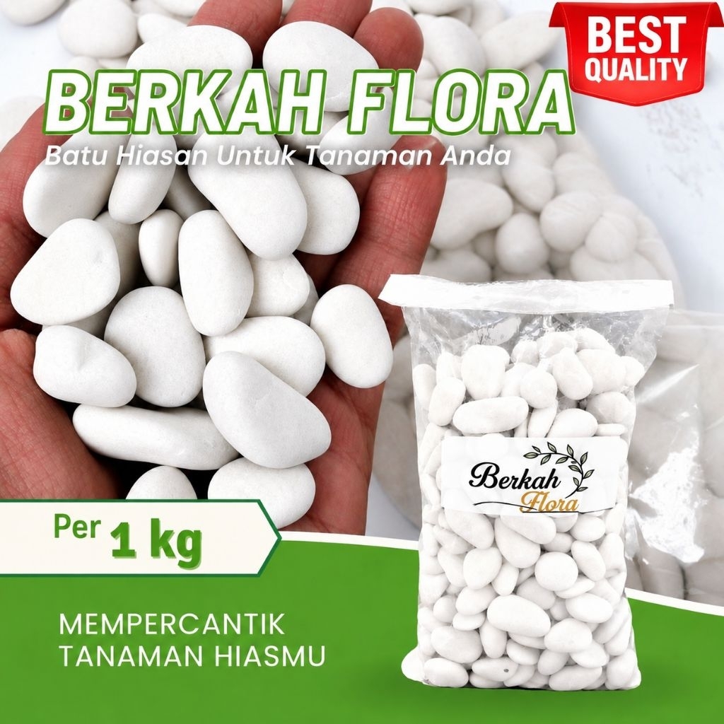 Batu Koral Putih Untuk Hiasan Tanaman Dan Taman Batu Coral Putih