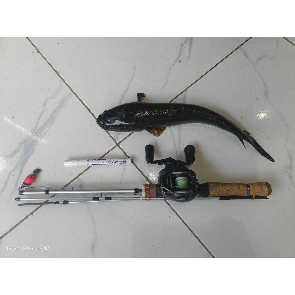 Set BC Tackle Shimano SLX MGL 70 HG