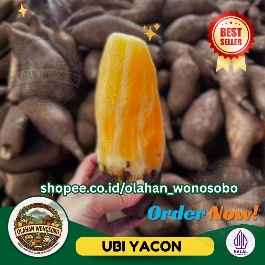 Ubi Yakon 1/2 Kg Segar Kriuk Tanpa Direbus | 500gram | Ubi Khas Wonosobo | Ubi Yacon | ubi yakon | u