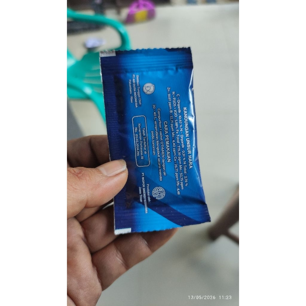 Dpanen untuk ayam bangkok 3 hari langsung lahap makan