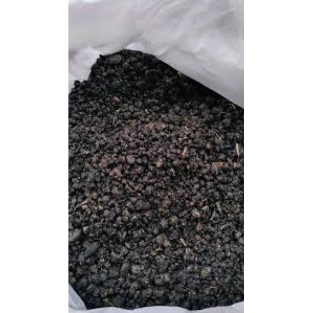 Oyek / Tiwul Organik PREMIUM Kemasan 5kg