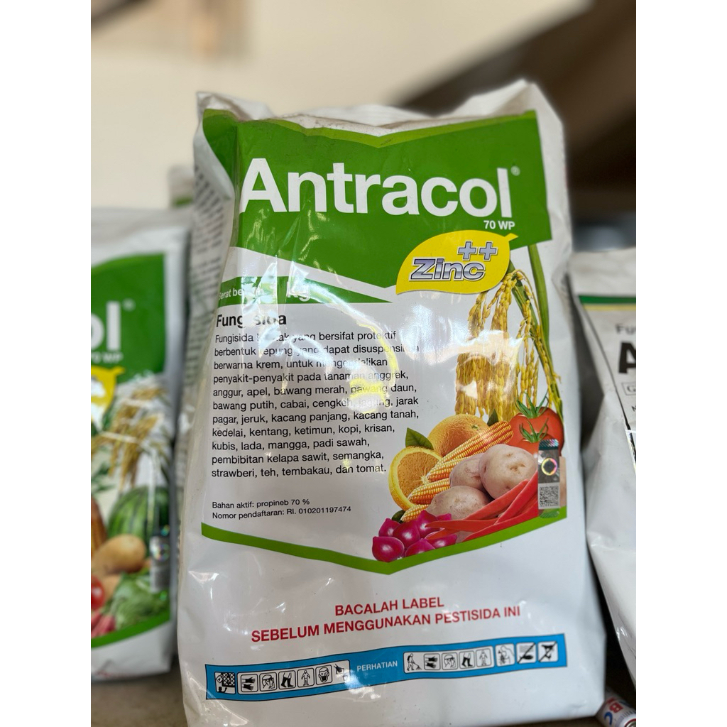 antracol1kg