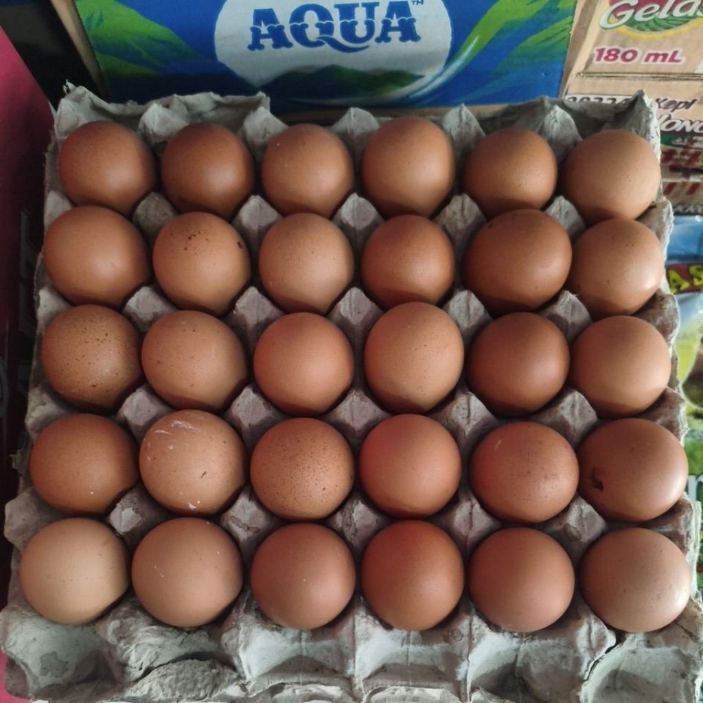 telur 1 krat
