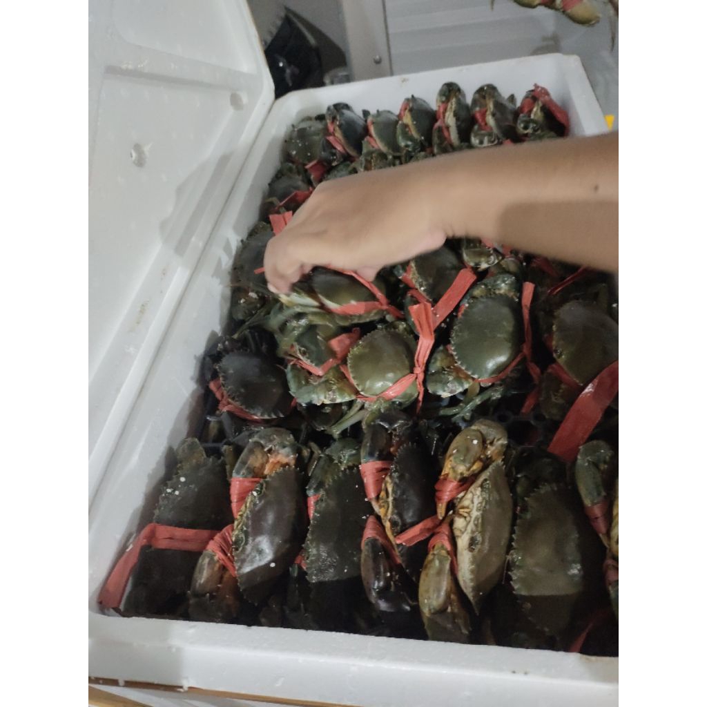 1KG KEPITING BAKAU / IKAN FILLET DORI / DORY/ SALMON / TUNA / MAKAREL / SALEM / LAYANG / KEMBUNG / N