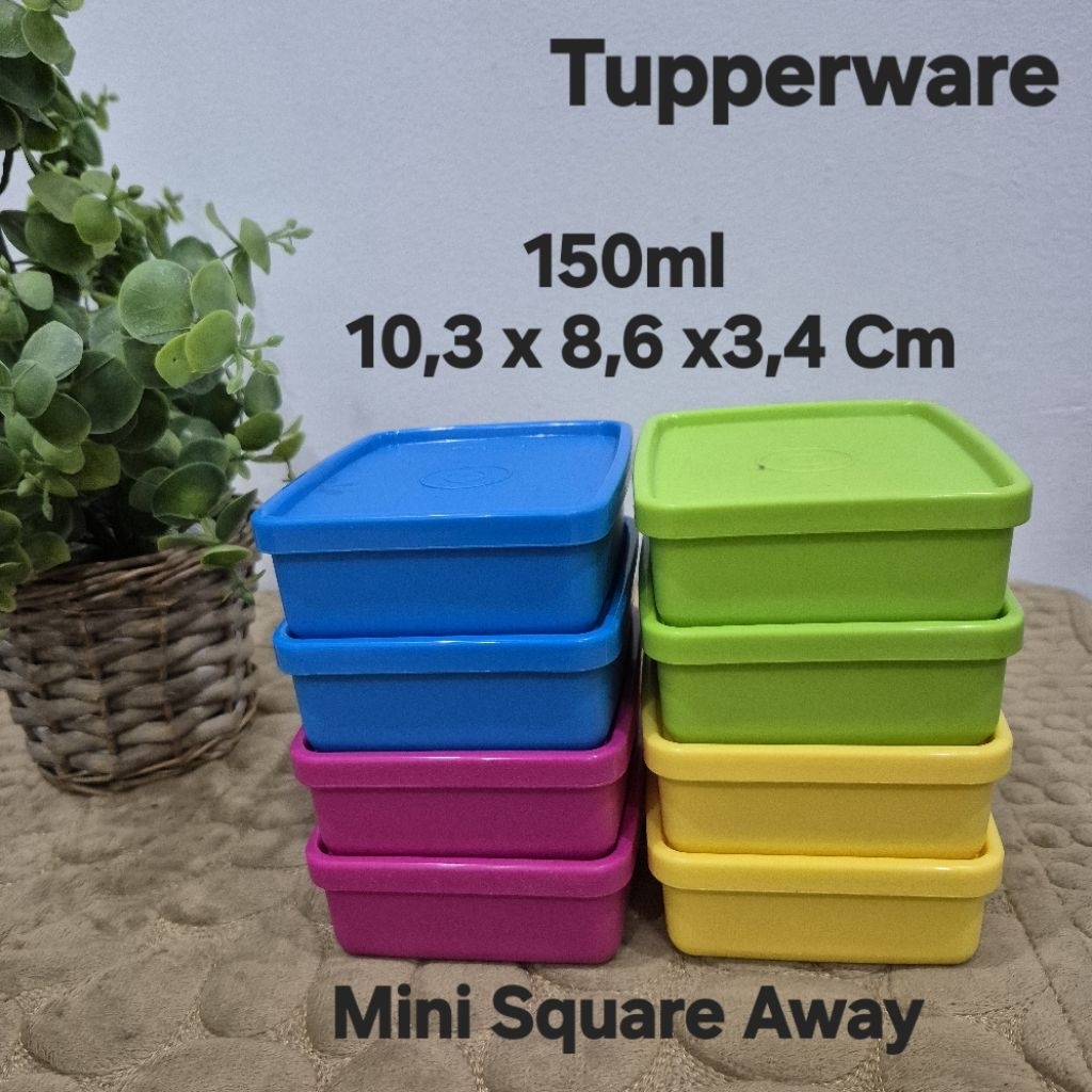 Mini square away Tupperware