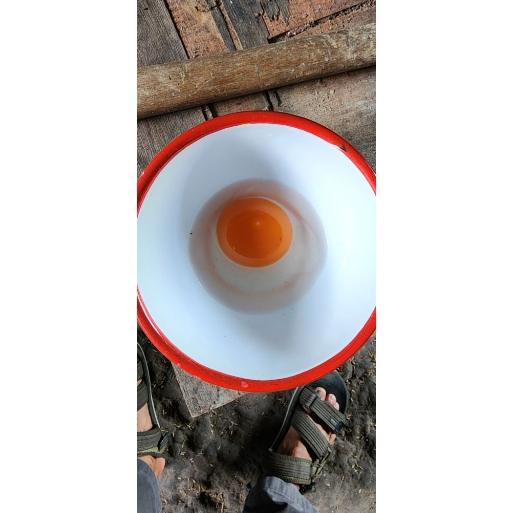 Telur Bebek Omega