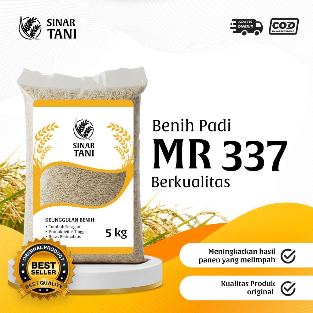 Benih padi bibit padi MR 337 kualitas original kemasan 5 kg