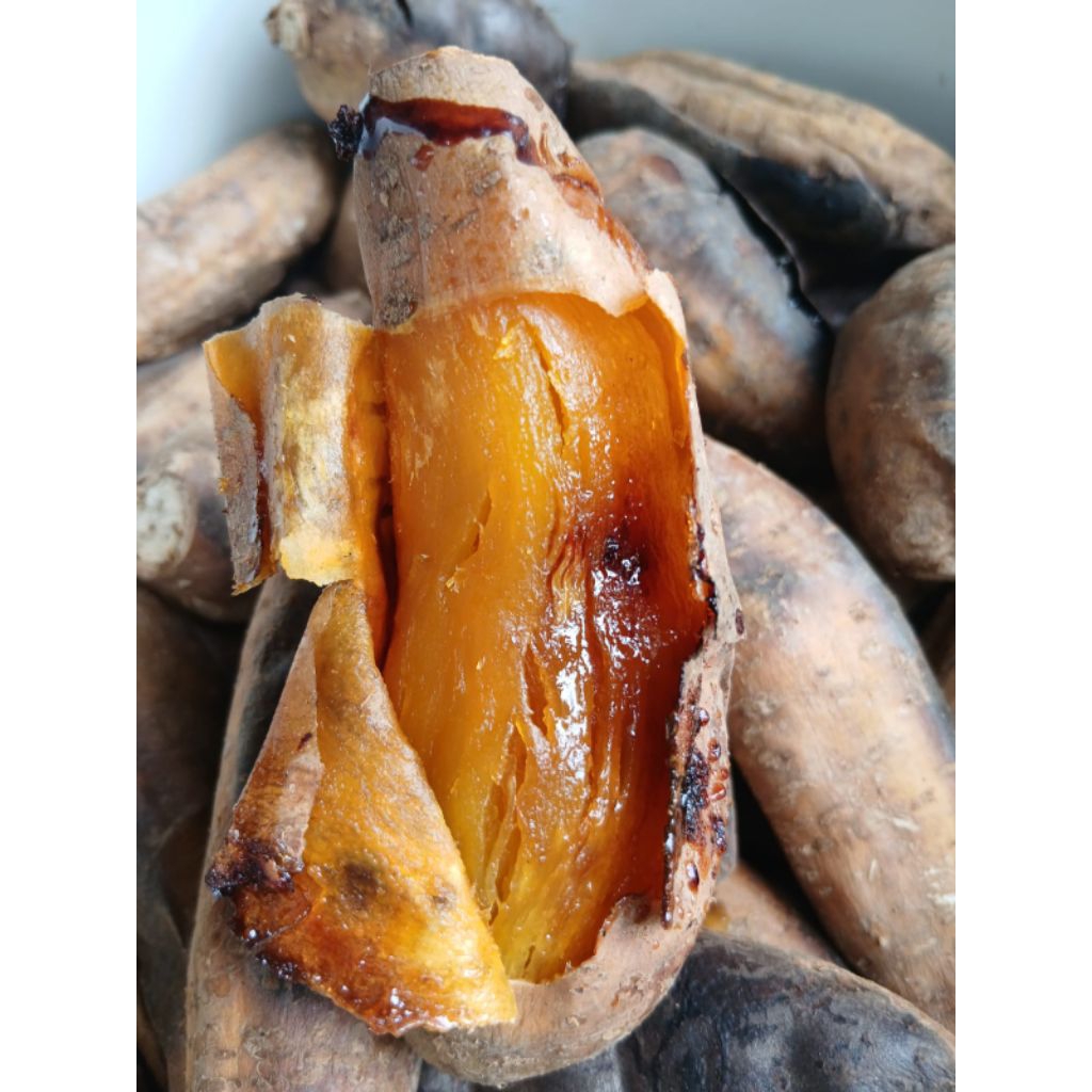 UBI MADU CILEMBU ASLI SUMEDANG MATANG & MENTAH 1KG FRESH FROM OVEN / UBI BAKAR CILEMBU MATANG / UBI 