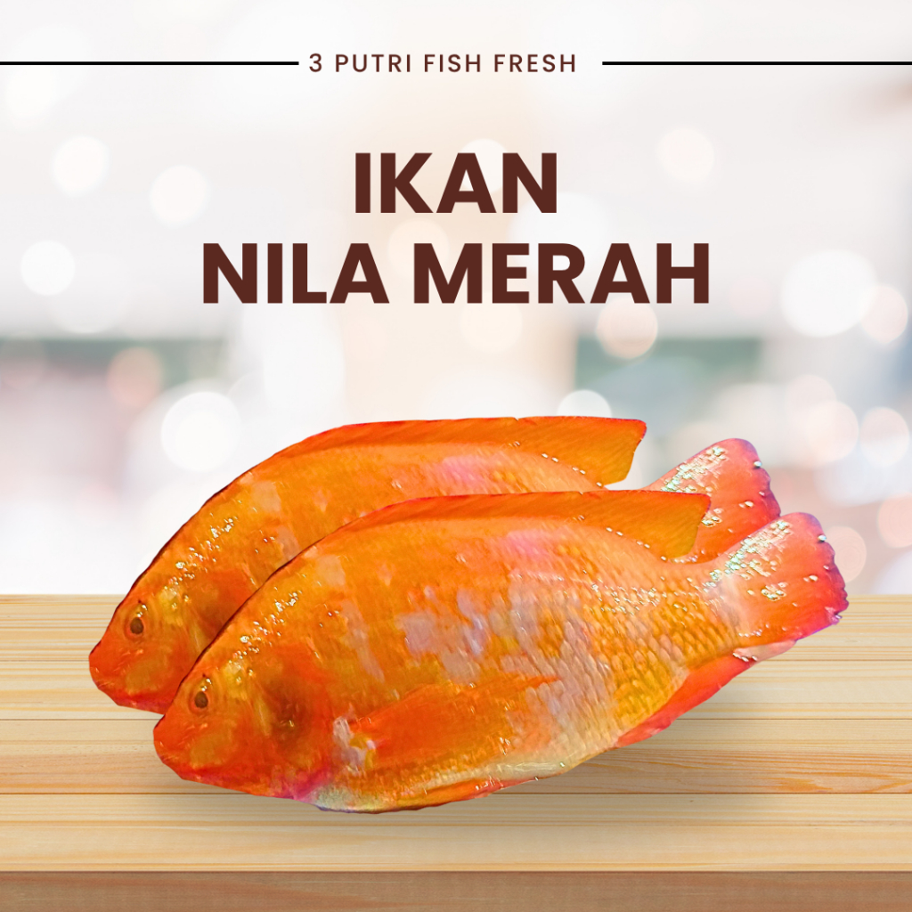 ikan nila merah