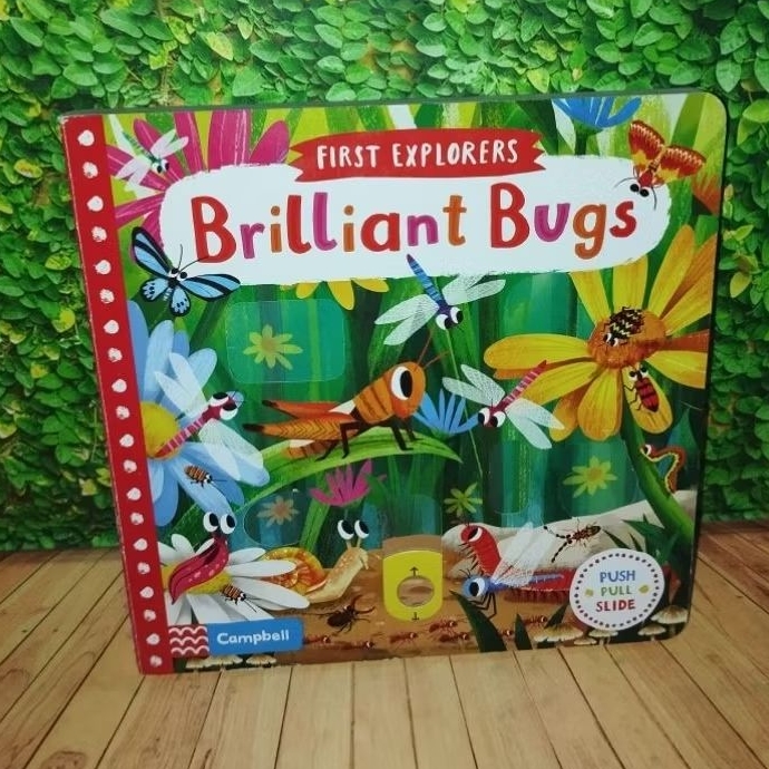 Campbell Book First Explorer Brilliant Bugs