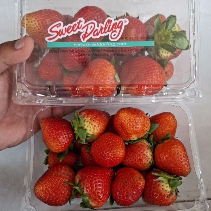 Buah strawberry sweet darling USA fresh | strawberry USA sweet darling / pack 454gram