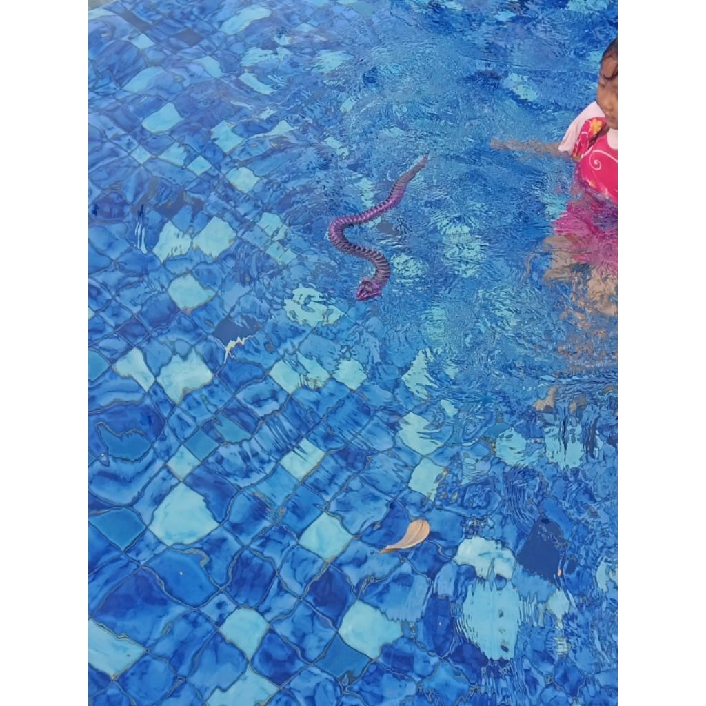 Miniatur Ular Viper Mainan Ular Myctical
