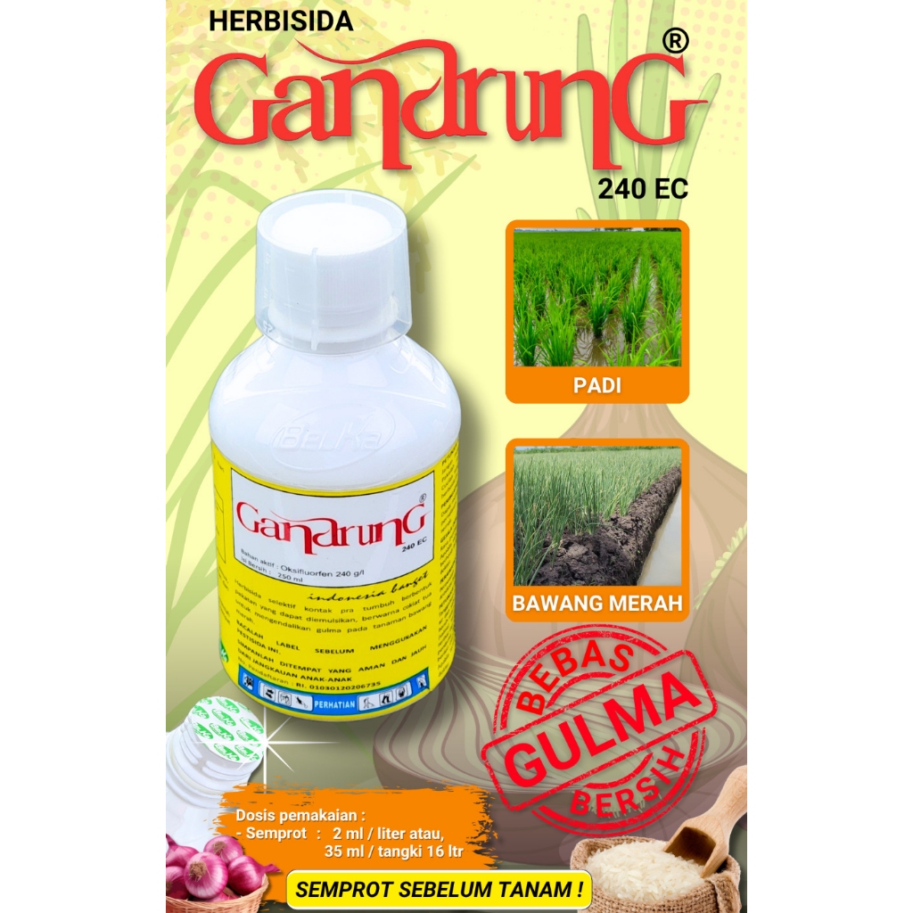 Herbisida Gandrung 240EC Pra Tumbuh oksifluorfen herbisida selektif bawang merah