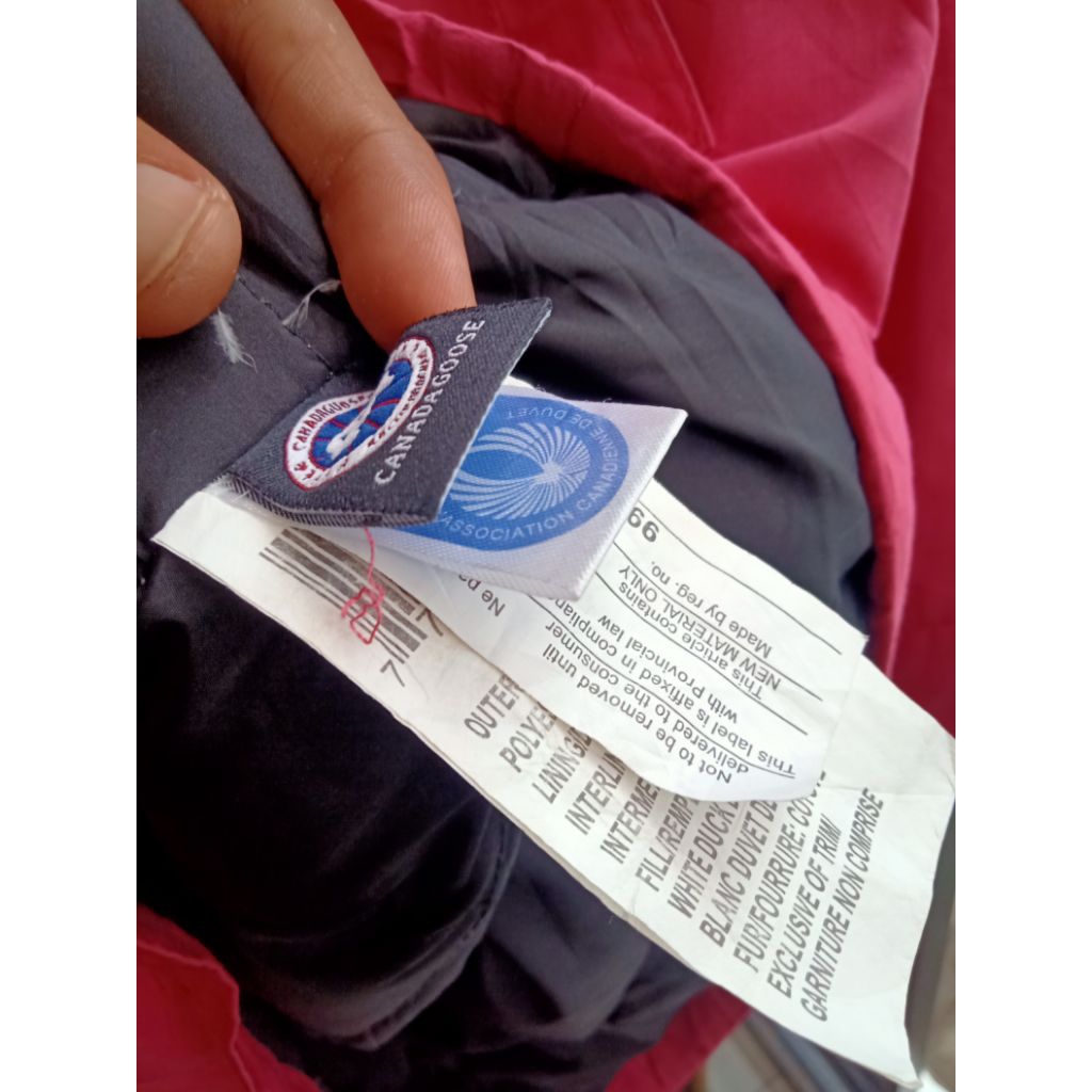 canada goose pink