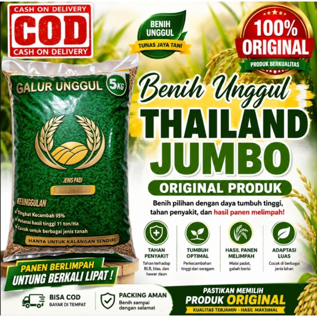 benih padi thailand jumbo