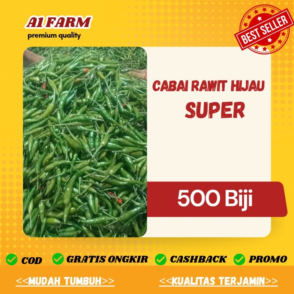 BIJI BENIH CABAI RAWIT HIJAU SUPER (500 BIJI)