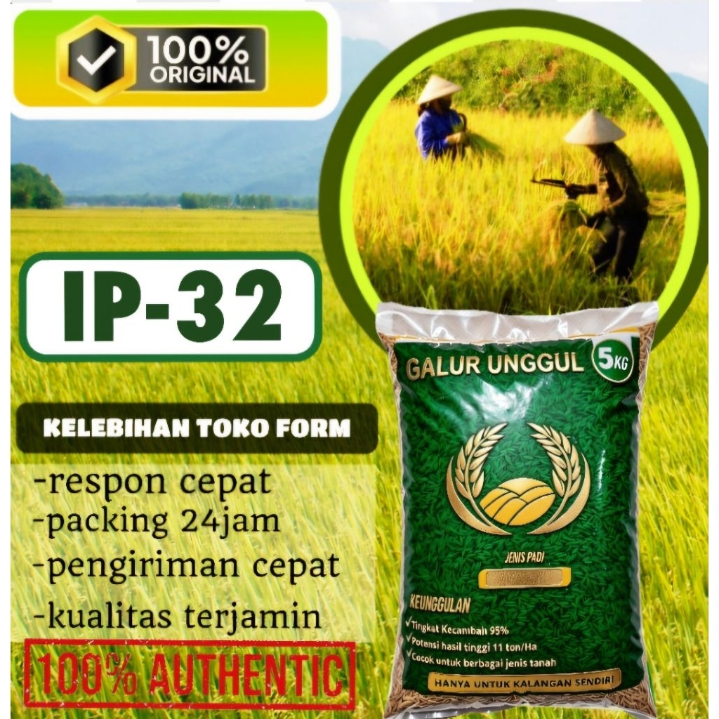 bibit padi unggul IP-32 kemasan 5kg