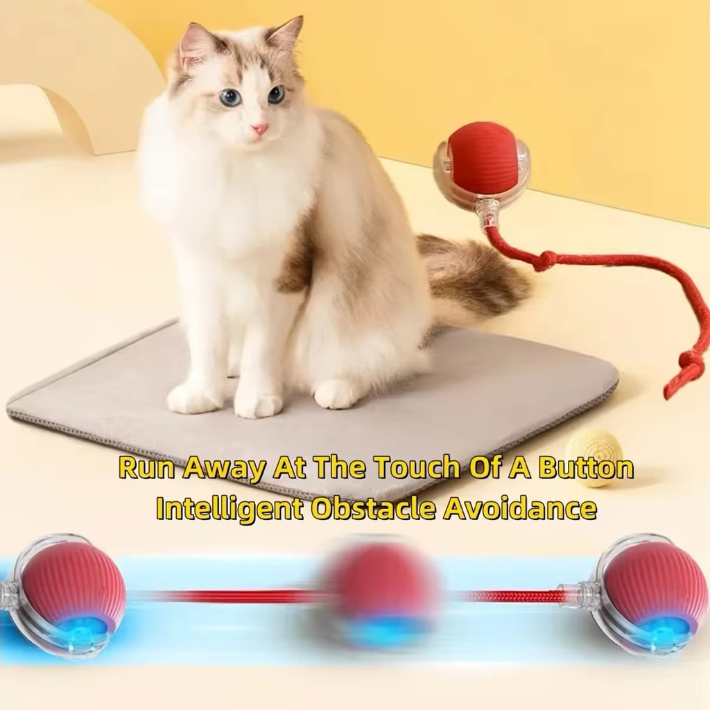 Mainan Kucing interaktif Led - Mainan Kucing - Cat Toy - Mainan kucing Bola Lampu