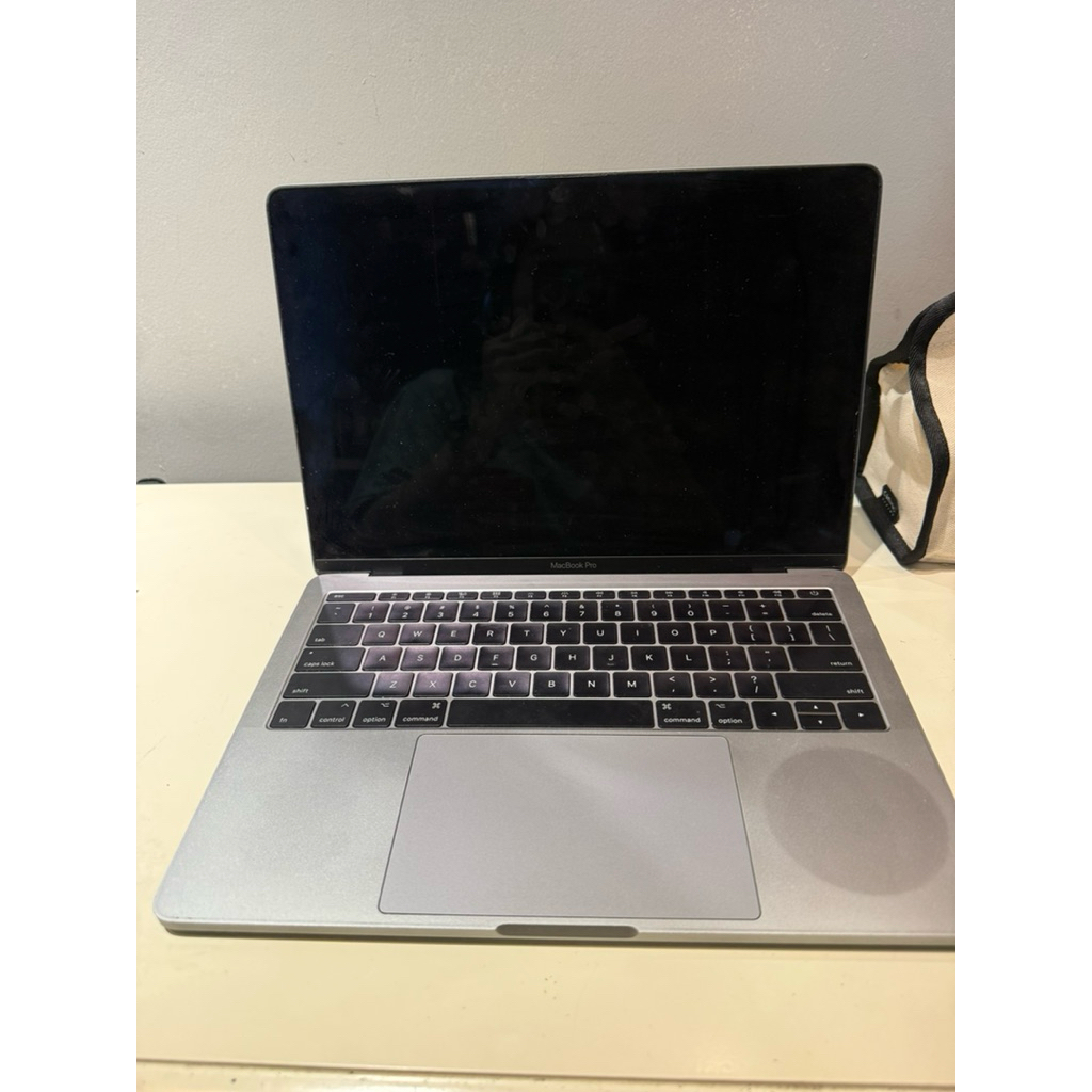 Macbook Pro 2017 (13 inch) 256GB
