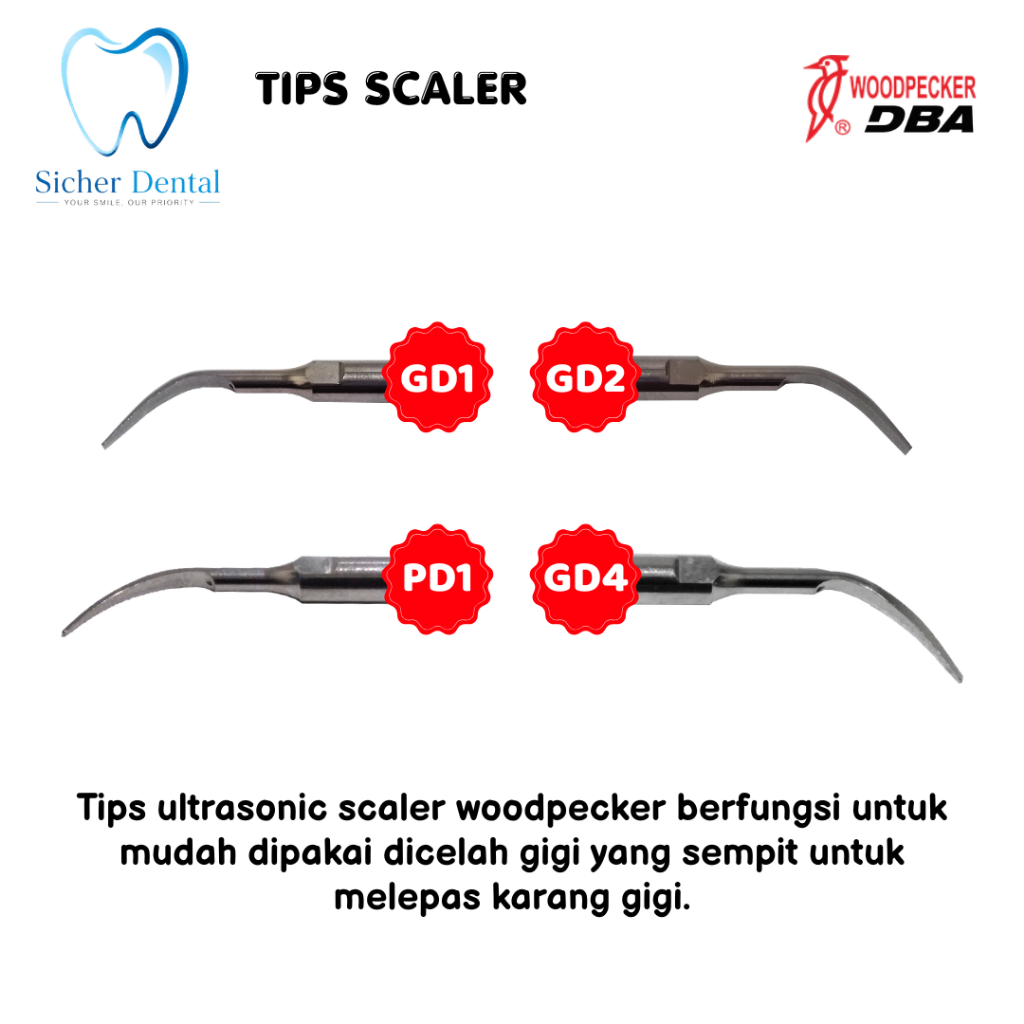 Tip Scaller Woodpecker/Tip/Tips Ultrasonic Scaler (Per Pcs)