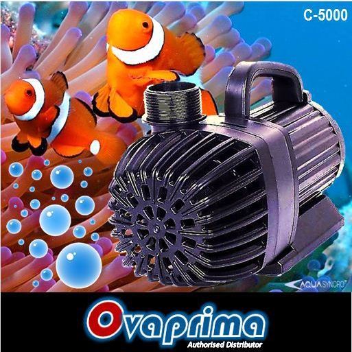 Aquasyncro C-5000 Pompa Air Inverter Hemat Listrik Aquarium/Aquascape/Kolam Submersible Water Pump A