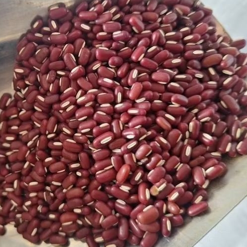 Kacang Merah | Kacang Es Kecil 1 kg | Kacang Adzuki | kacang Tolo Merah - Bersih 1 kg