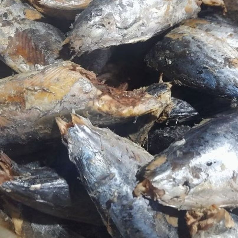 Cuek/Pindang (Tongkol) 500gram