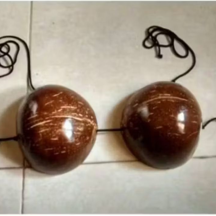 Bra batok kelapa unik untuk tari tradisional