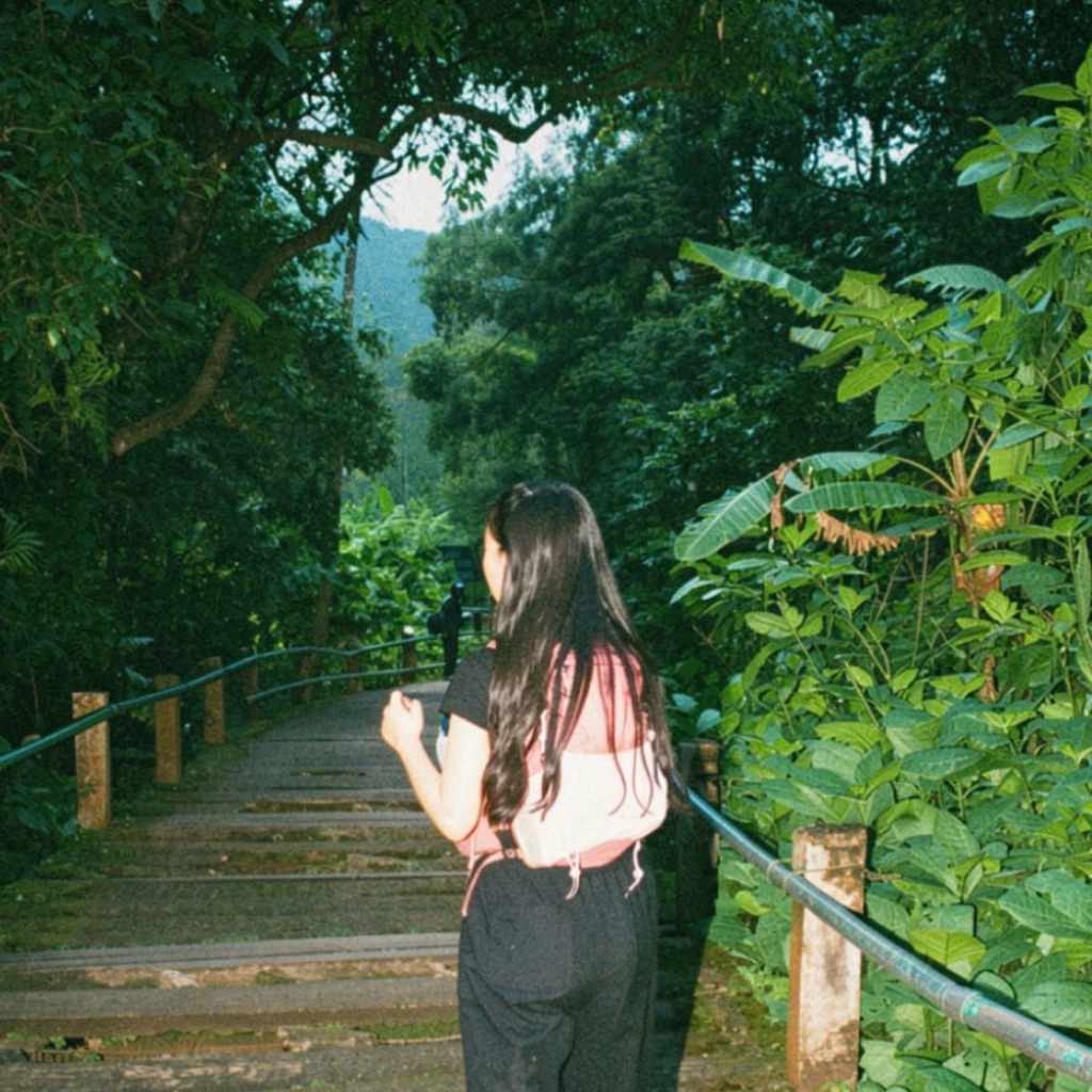 HYDROPACK GREENFOREST