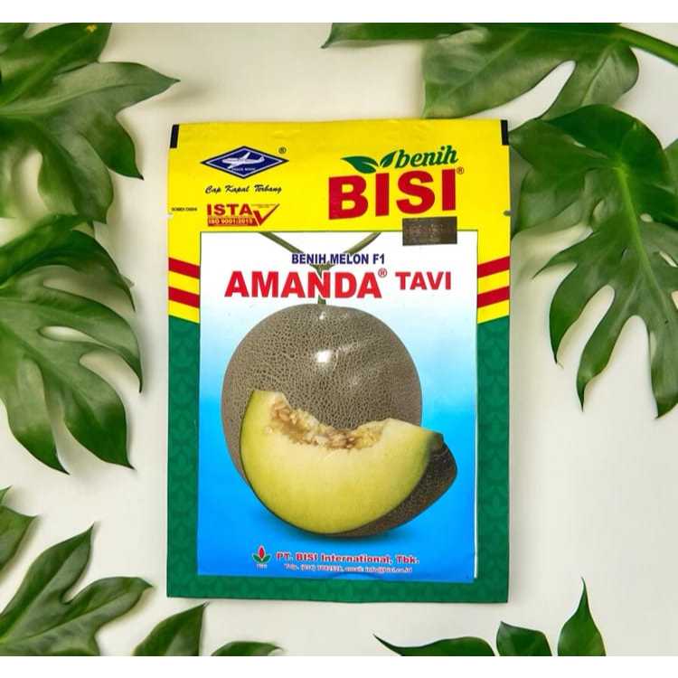 Benih Melon AMANDA TAVI ASLI Cap Kapal Terbang
