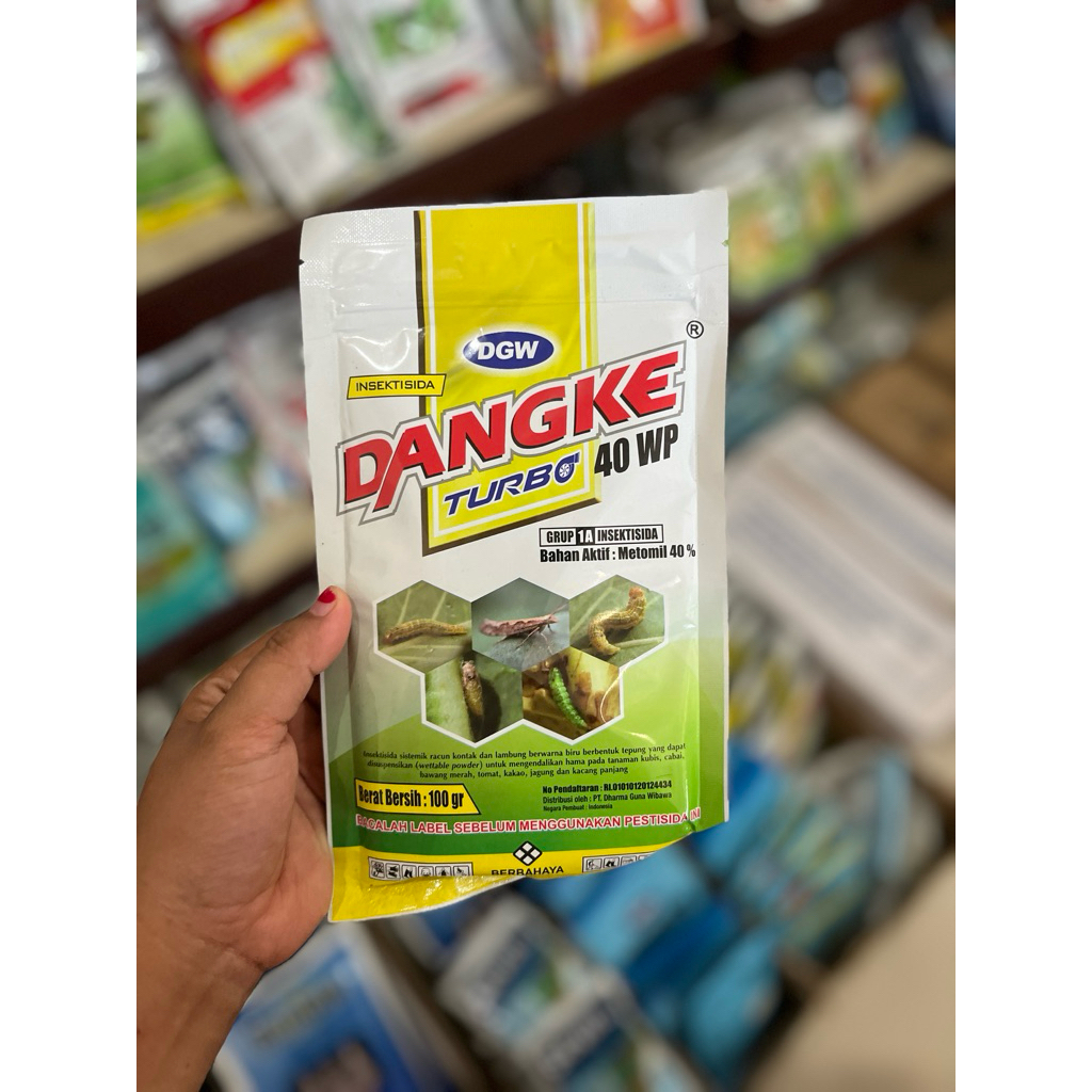 dangke100gr