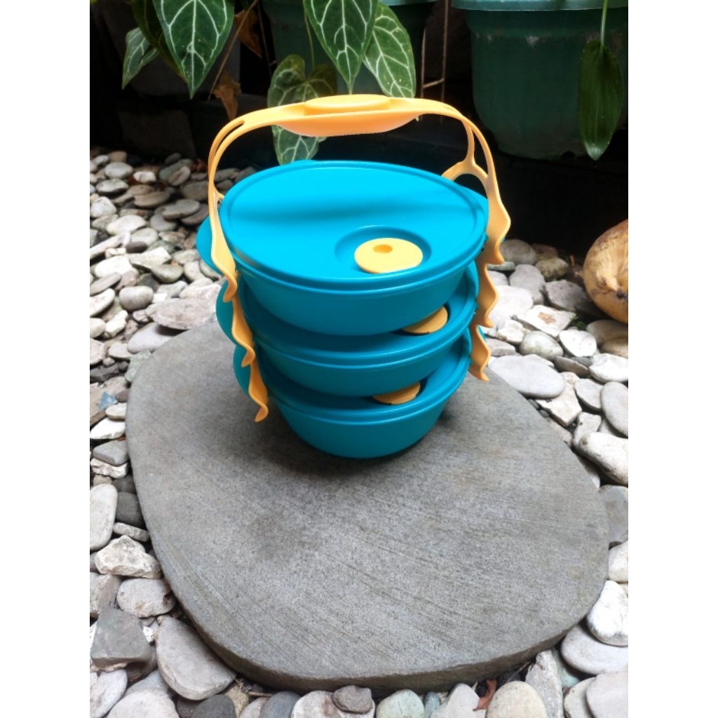 CARRY ALL BOWL TUPPERWARE