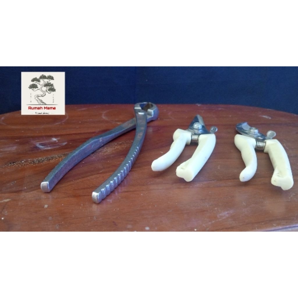 paket pruning bonsai ( catok, gunting daun, gunting dahan/ranting )
