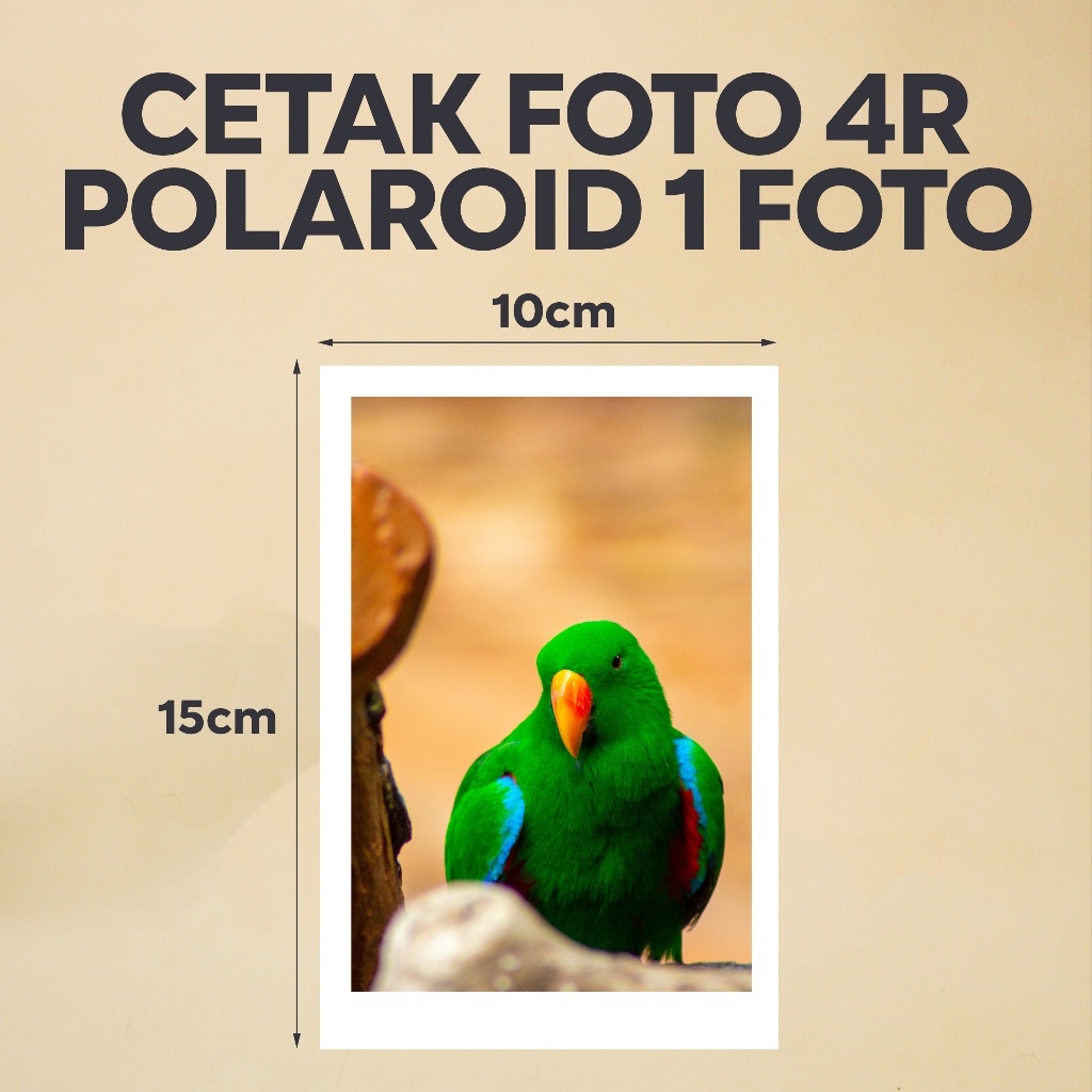 Cetak Foto Polaroid 4R Doff 10x15