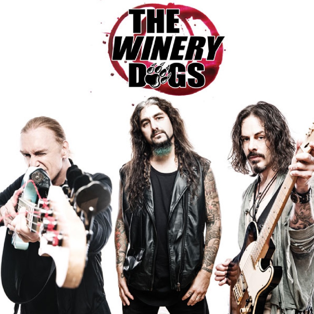 The Winery Dogs (DVD)