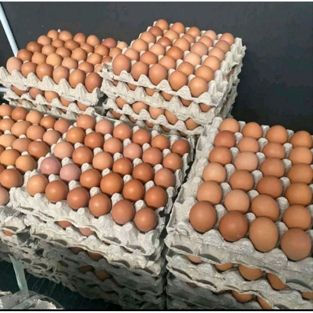 Telur ayam 1kg