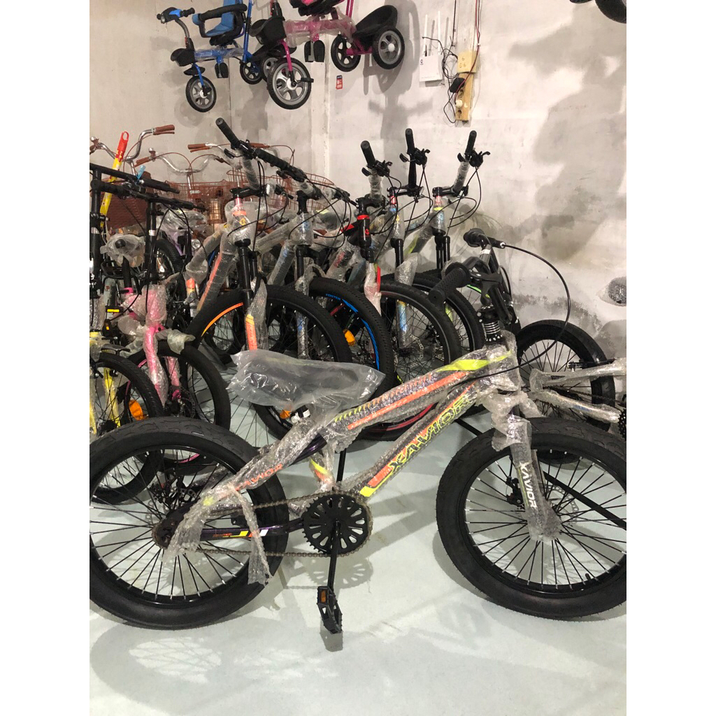 BMX 20 Xavior