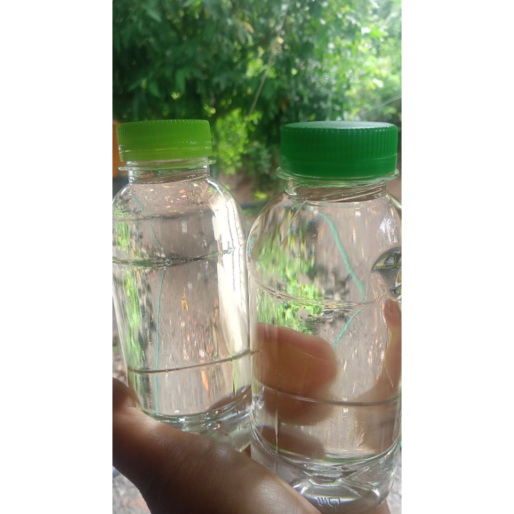 minyak vco original 100% cold pressed