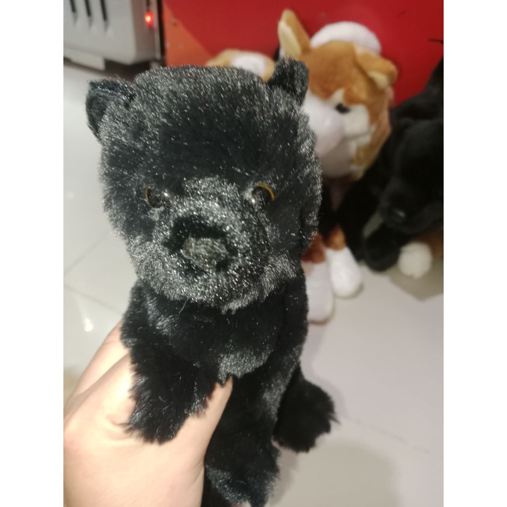 Boneka Douglas