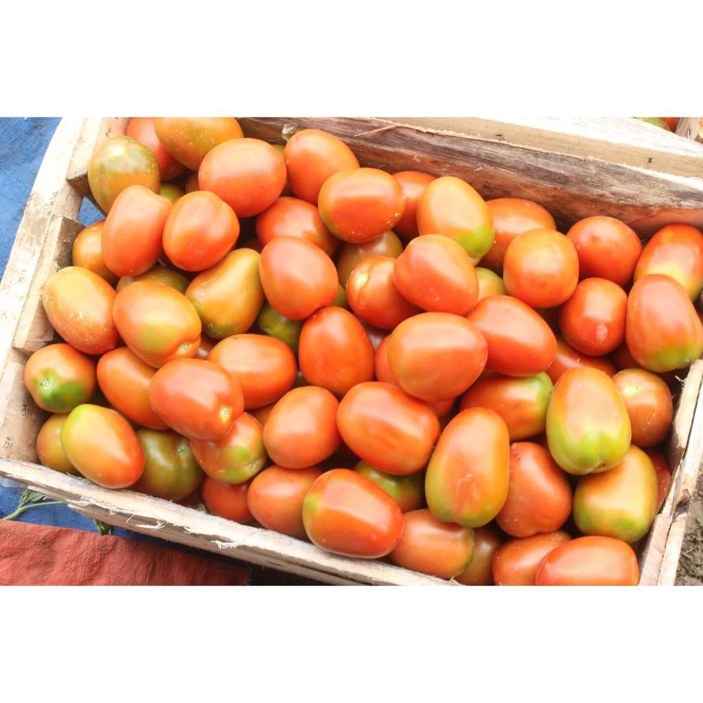 Tomat cherry 1 KG FRESH
