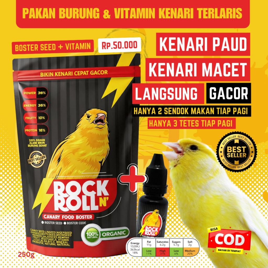 Vitamin burung kenari rock n roll paud muda jantan langsung gacor ngepol