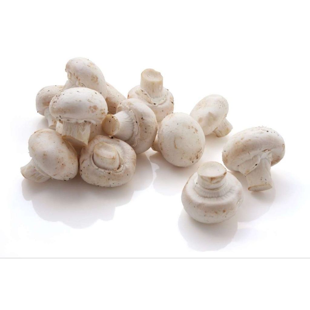 Jamur kancing 1 KG FRESH